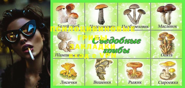 крисы Семикаракорск