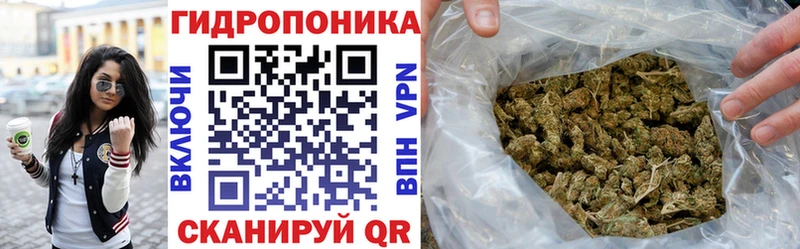 Марихуана OG Kush  наркота  OMG как войти  Холм 
